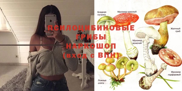 дмт Медвежьегорск