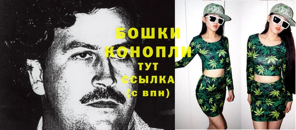 дмт Медвежьегорск